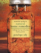 Essential Guide to Natural Home Remedies